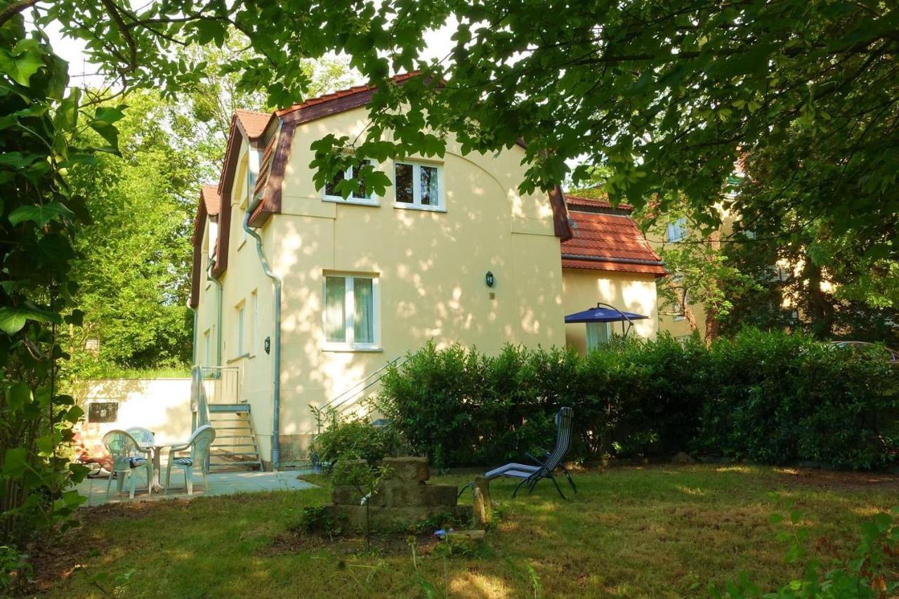 Campus Apartment Ernst Drezno Zewnętrze zdjęcie